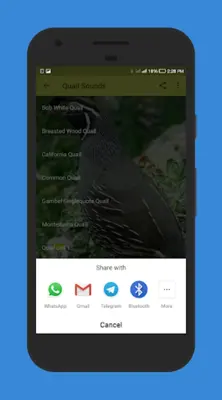 Quail Sounds android App screenshot 0