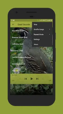 Quail Sounds android App screenshot 1