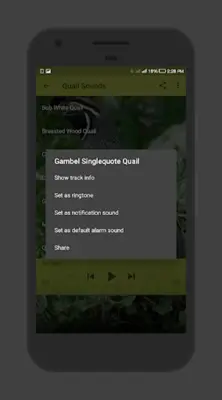 Quail Sounds android App screenshot 2