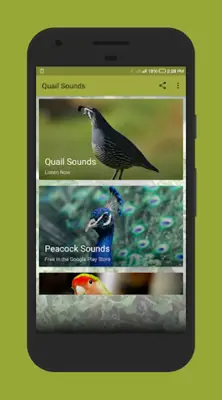 Quail Sounds android App screenshot 4